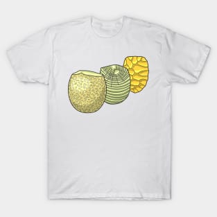 Lithics Knaping Illustration T-Shirt